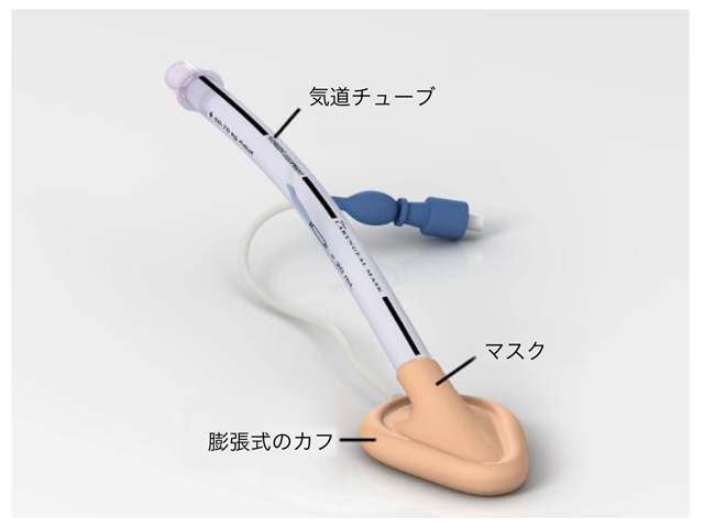 ラリンジアルマスクの構造